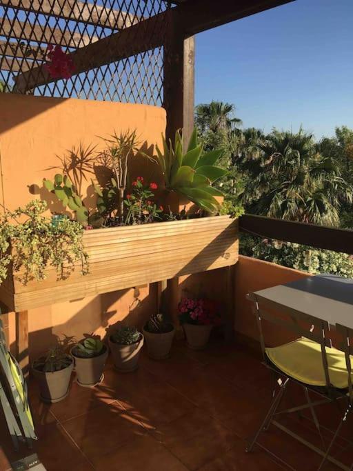 Superbe Appartement Avec Piscine A 800M De La Mer Bahia de Casares Exterior foto